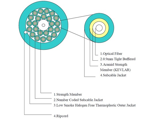L-IVHH24G50-OM3_B-OM3-24C-_inside-2