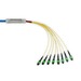 tML® - FO Trunk Cable MPO/MPO 12E9/125µ OS2 LSHF Crossover, Length: xxx