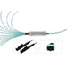 tML® - FO Fan-out Cable MPO w. Pins/6x E2000 Duplex 50/125µ OM4 LSOH, Length: xx