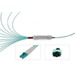 tML® - FO Fan-out Cable MPO with Pins/6x LC Duplex 50/125µ OM3 LSOH, Length: xx