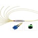 tML® - FO Fan-out Cable MPO with Pins/6x SC Duplex 9/125µ LSOH, Length: xx