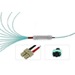 tML® - FO Fan-out Cable MPO with Pins/6x SC Duplex 50/125µ OM4 LSOH, Length: xx